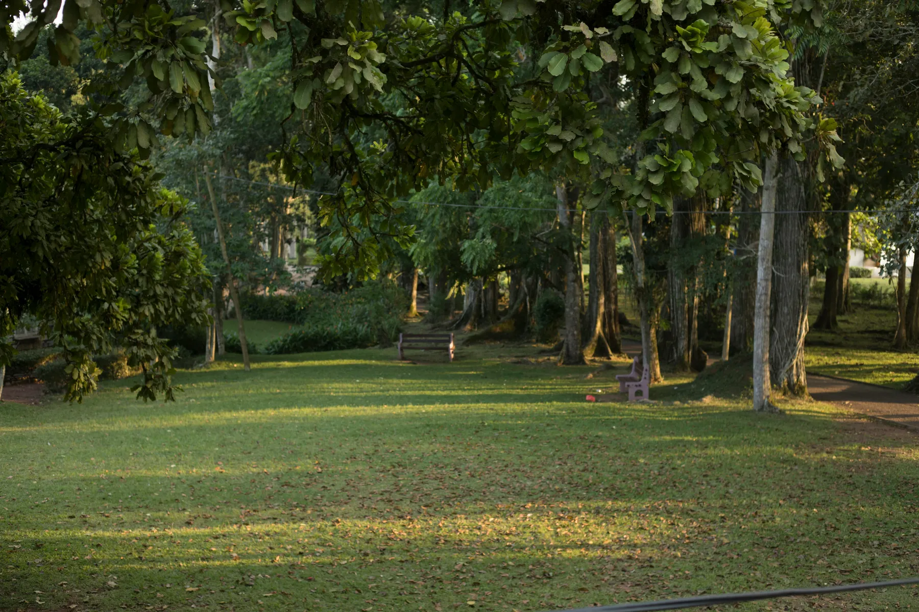 aburiii garden